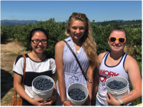 Annual Lab blueberry picking trip